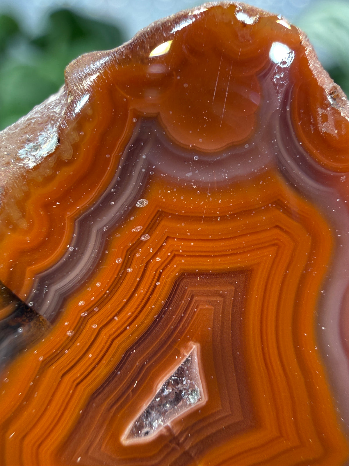 Banded Agate with Quartz Druzy- Mexico