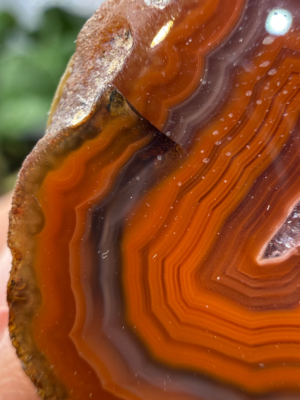 Banded Agate with Quartz Druzy- Mexico