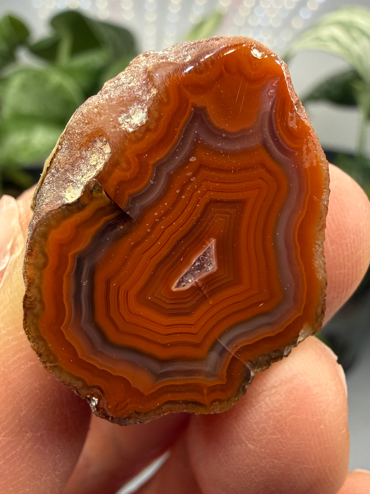 Banded Agate with Quartz Druzy- Mexico