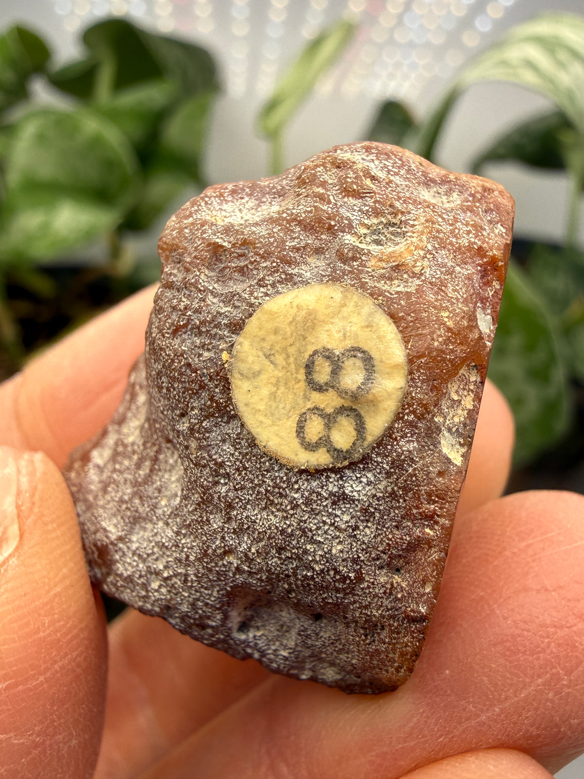 Banded Agate with Quartz Druzy- Mexico