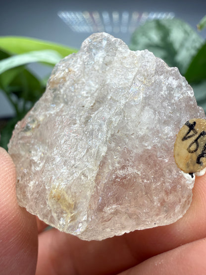 Morganite, var. Etched- Minas Gerais, Brazil