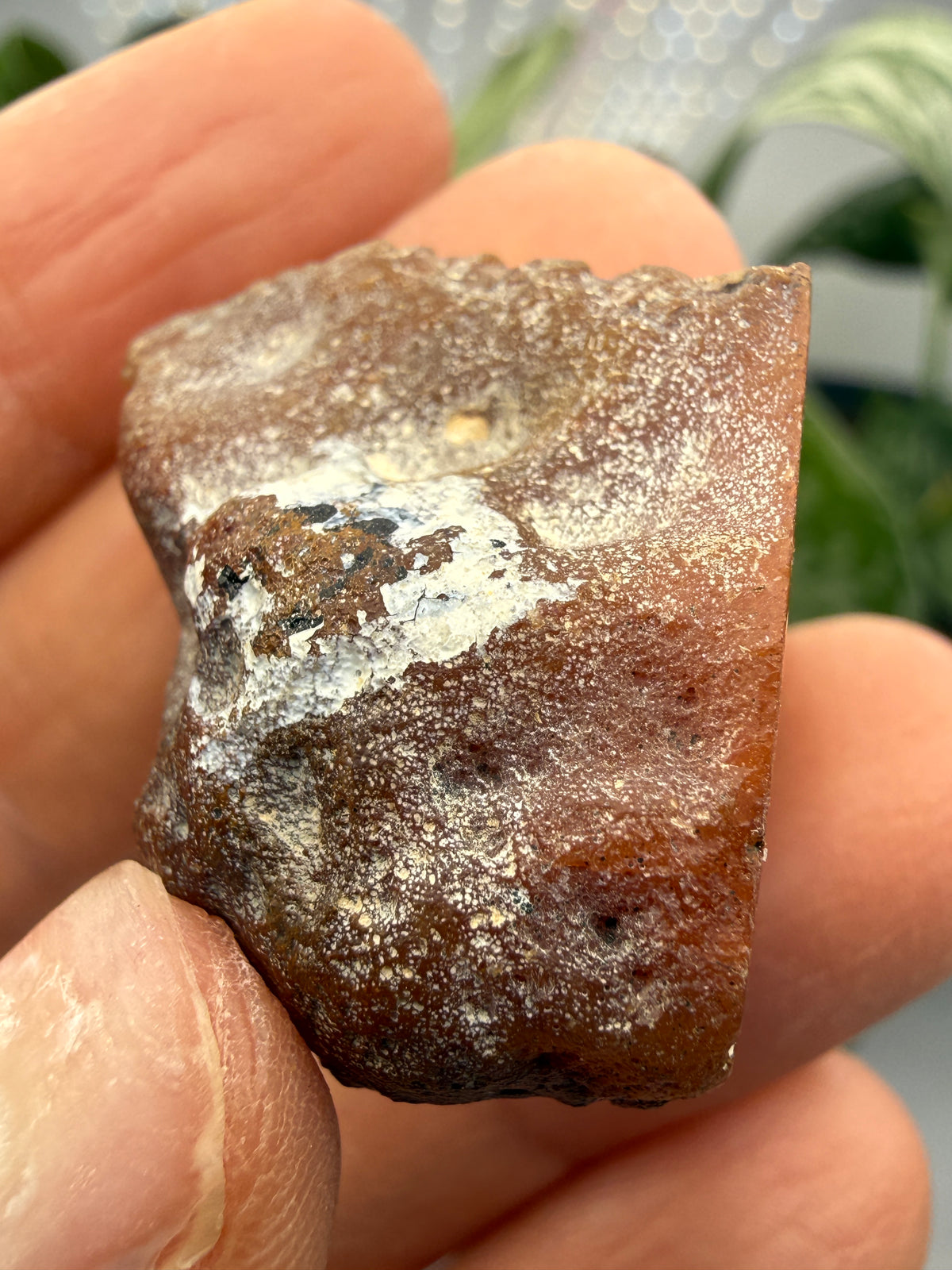 Banded Agate with Quartz Druzy- Mexico