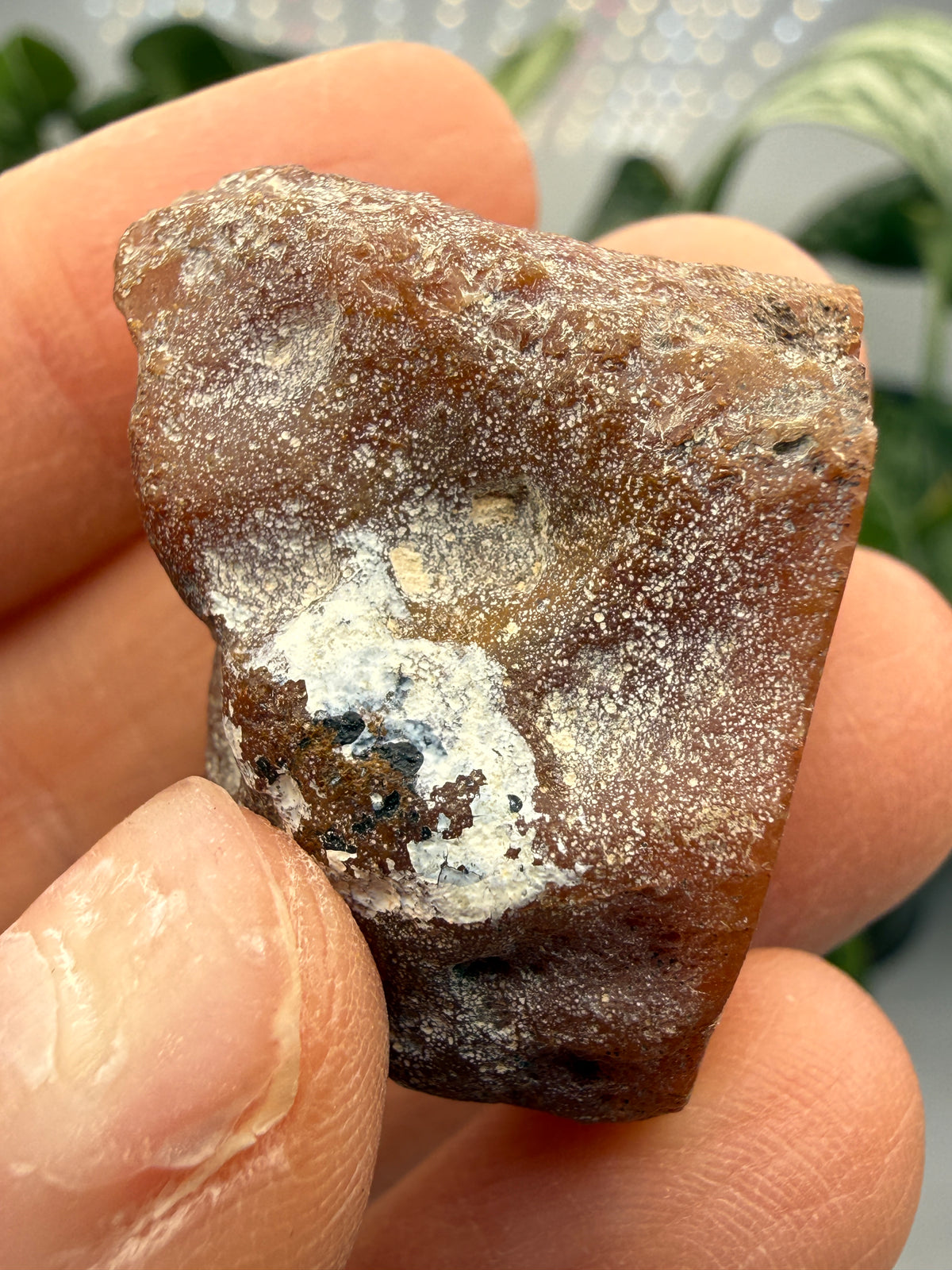 Banded Agate with Quartz Druzy- Mexico