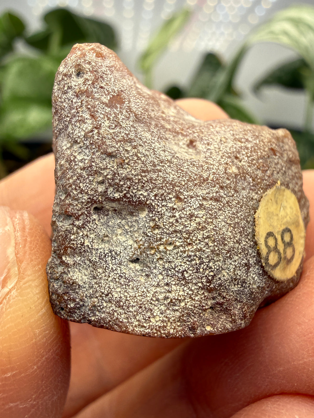 Banded Agate with Quartz Druzy- Mexico