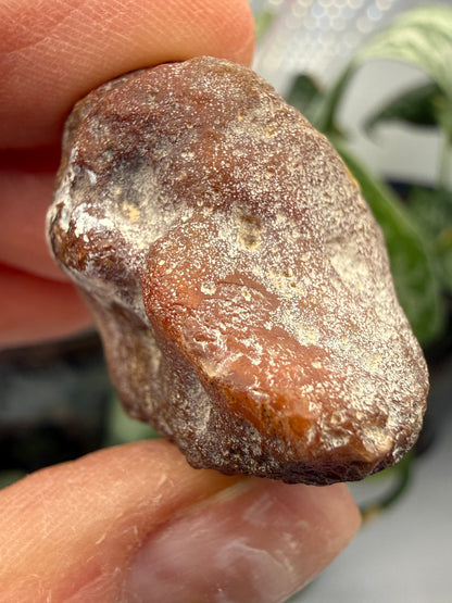 Banded Agate with Quartz Druzy- Mexico