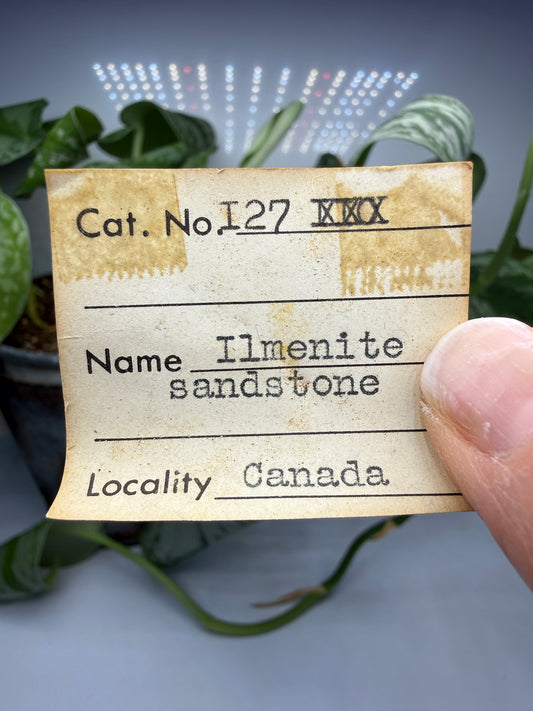 Ilmenite-Bearing Sandstone- Canada