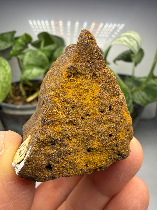 Ilmenite-Bearing Sandstone- Canada