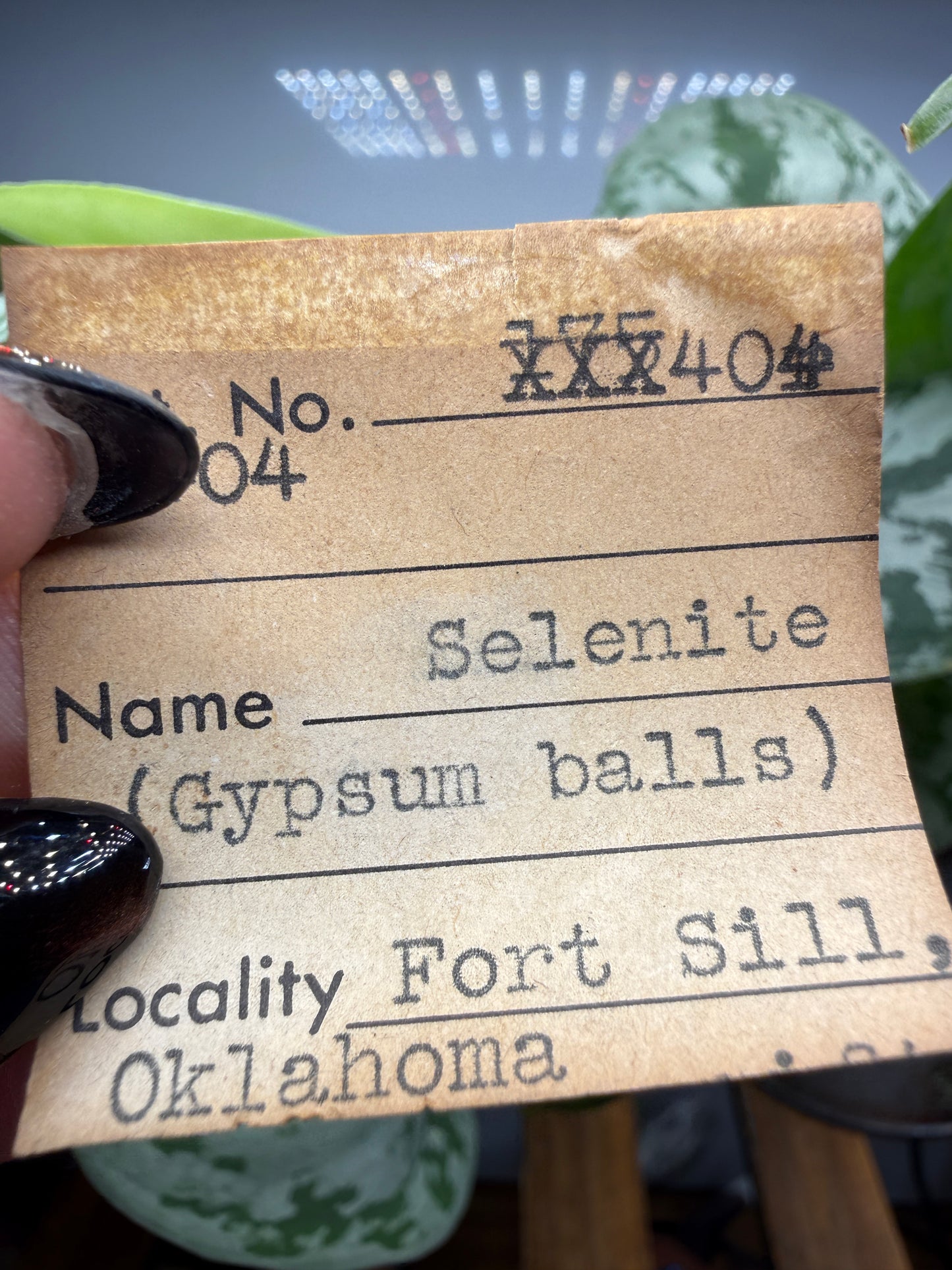 (3) Selenite, var "Rose" balls- Fort Sill, Caddo County, Oklahoma, United States