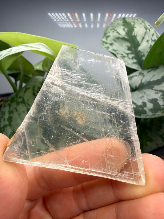 Selenite- Attributed to Virginia