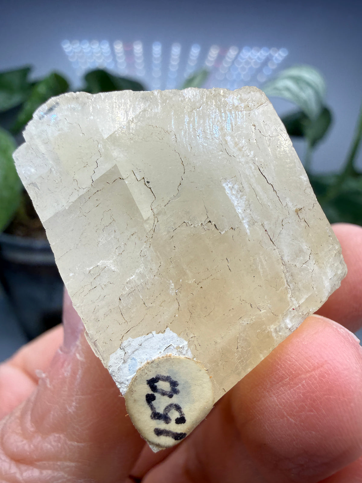 Calcite- Texas, USA