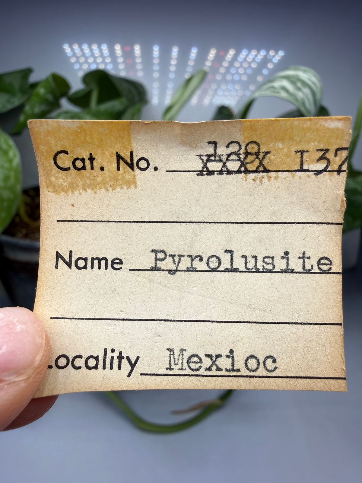 Pyrolusite- Mexico