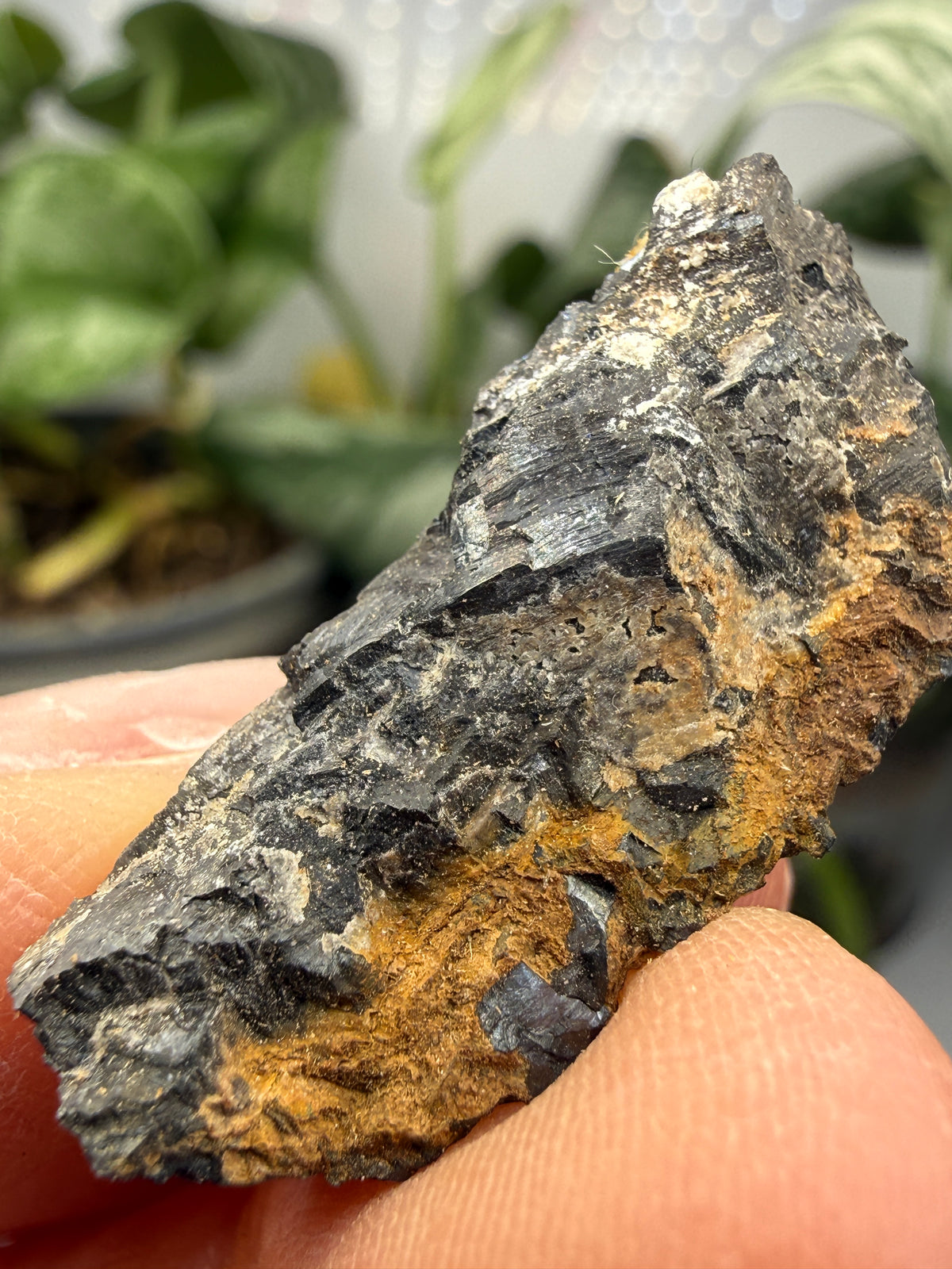 Pyrolusite- Mexico