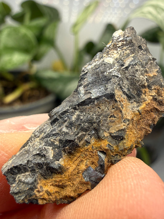 Pyrolusite- Mexico