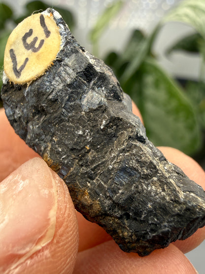 Pyrolusite- Mexico
