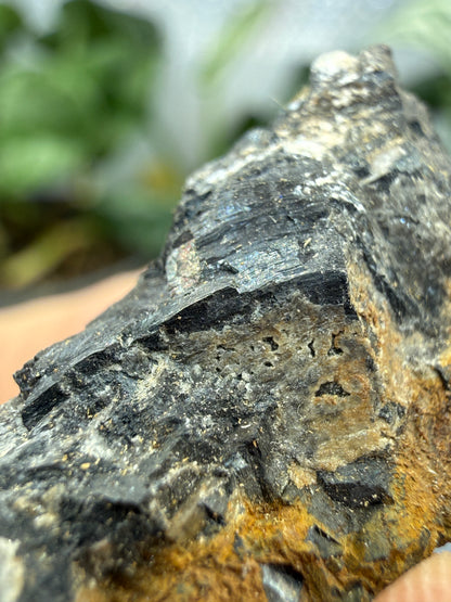 Pyrolusite- Mexico