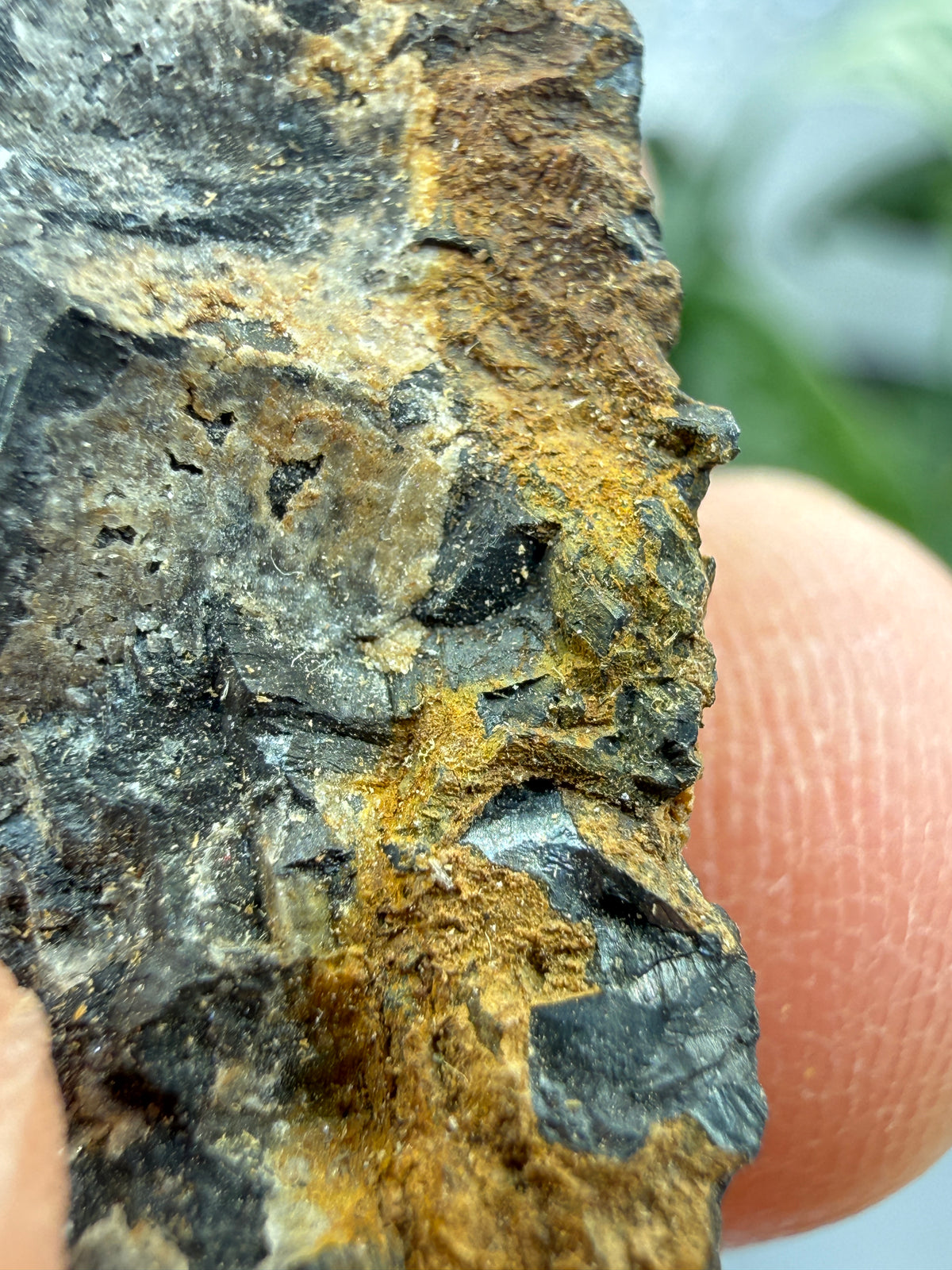 Pyrolusite- Mexico
