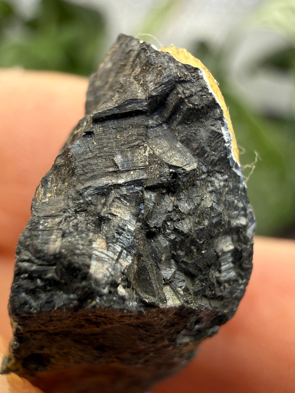 Pyrolusite- Mexico