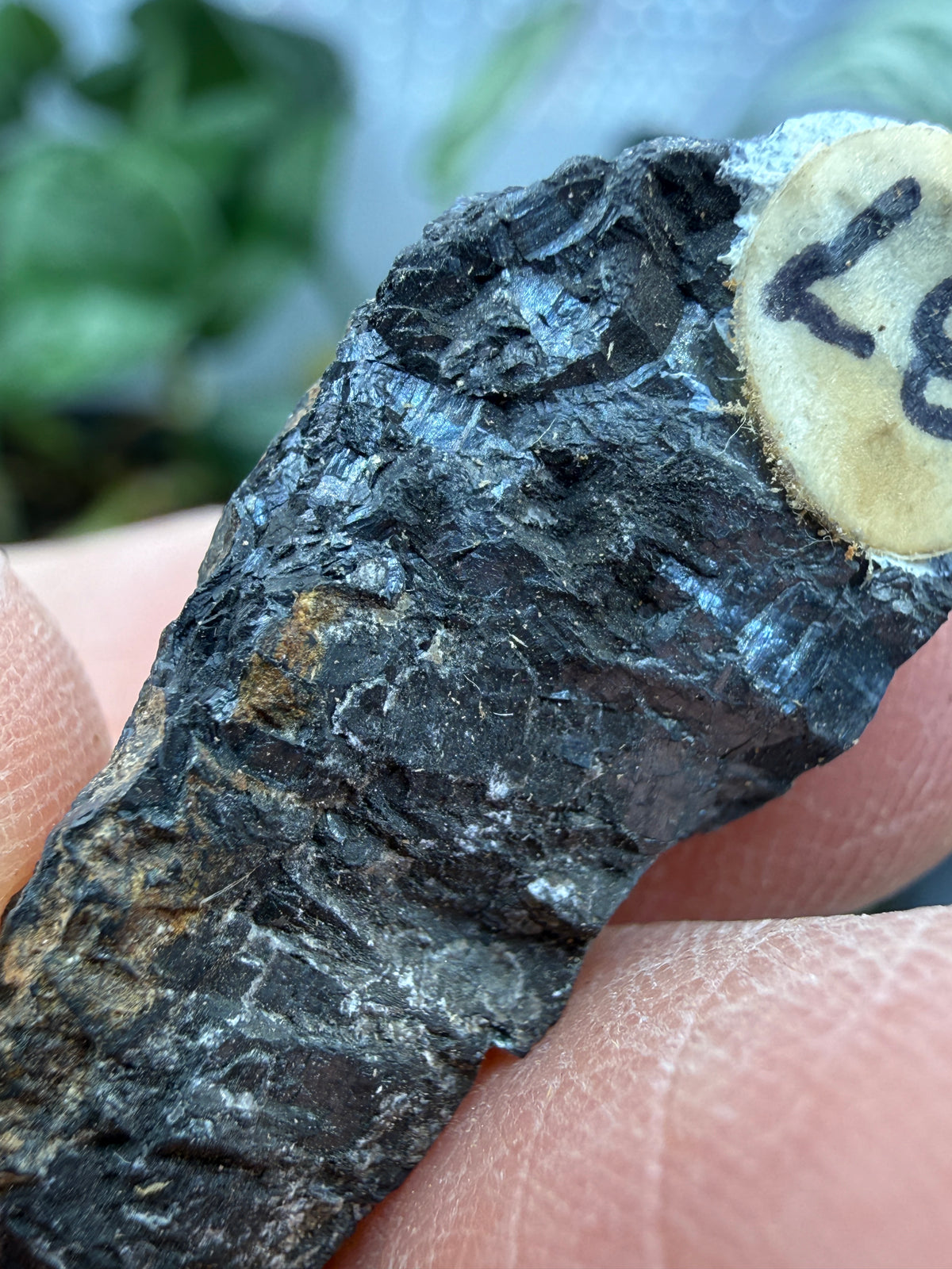 Pyrolusite- Mexico