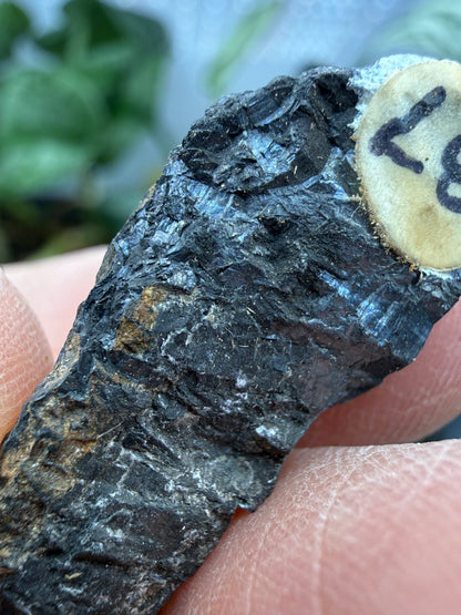 Pyrolusite- Mexico