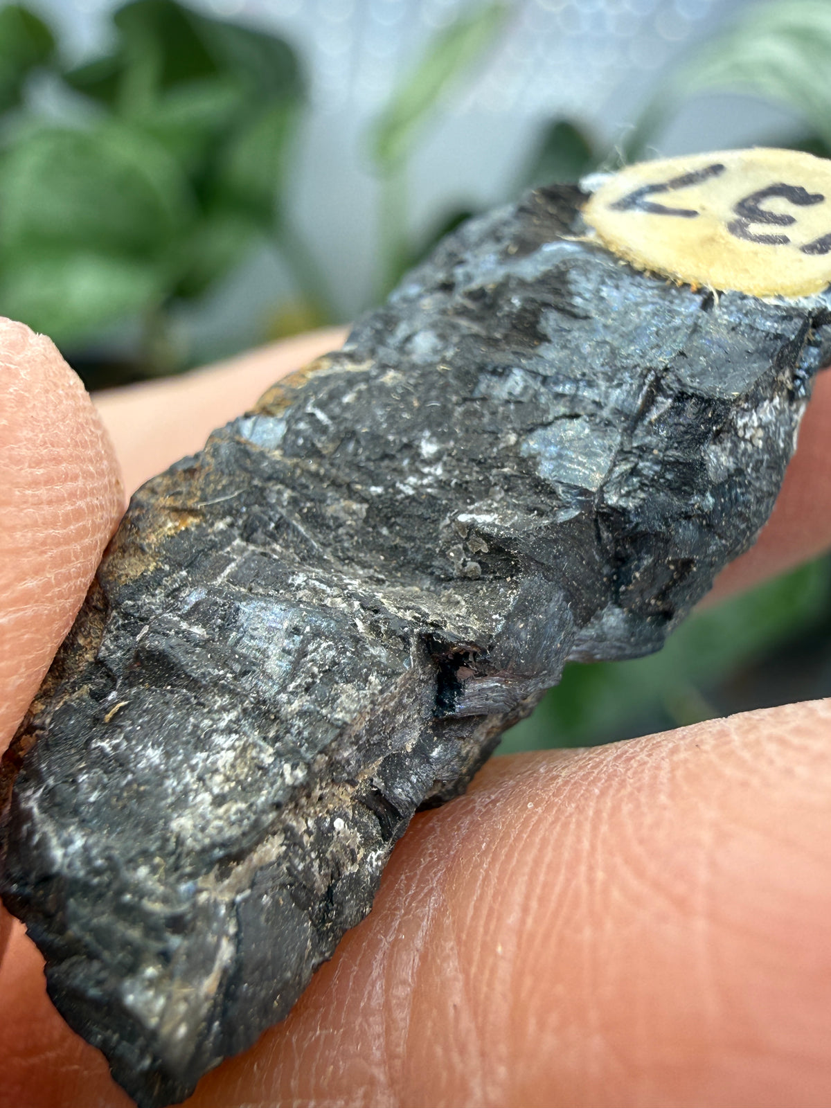 Pyrolusite- Mexico
