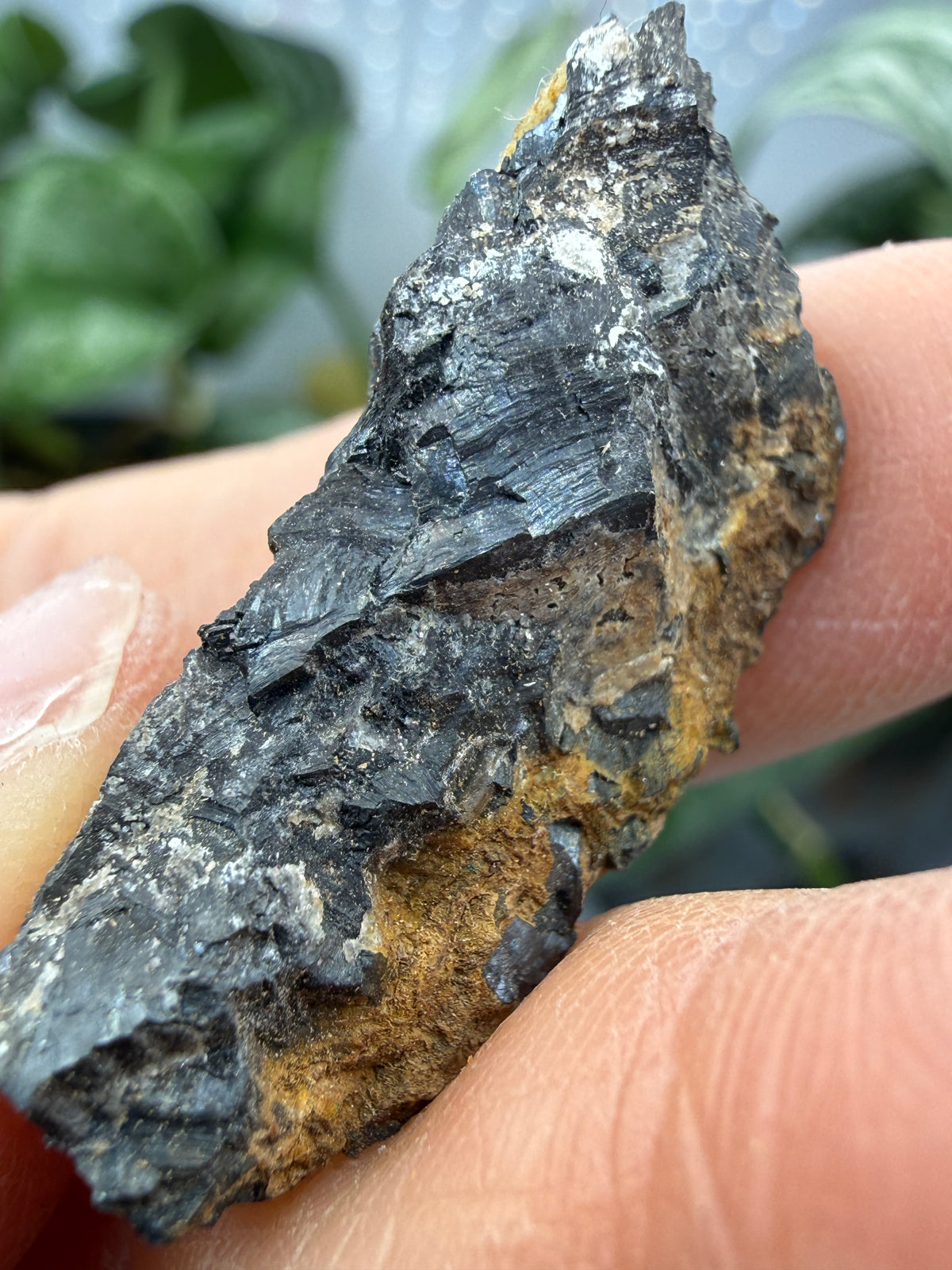 Pyrolusite- Mexico
