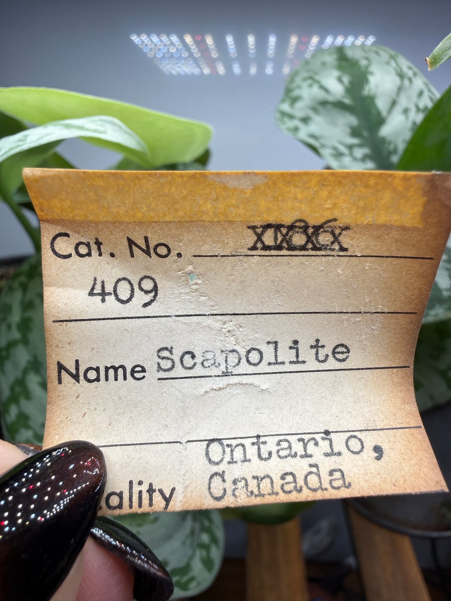 Scapolite in Feldspar- Ontario, Canada