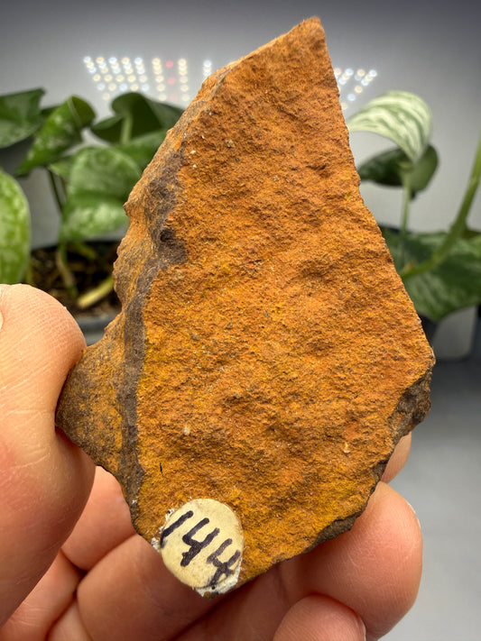 Limonite- Fort Woods, Missouri, USA