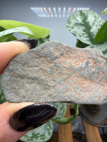 Roscoelite- Placerville Mining District, San Miguel County, Colorado, USA