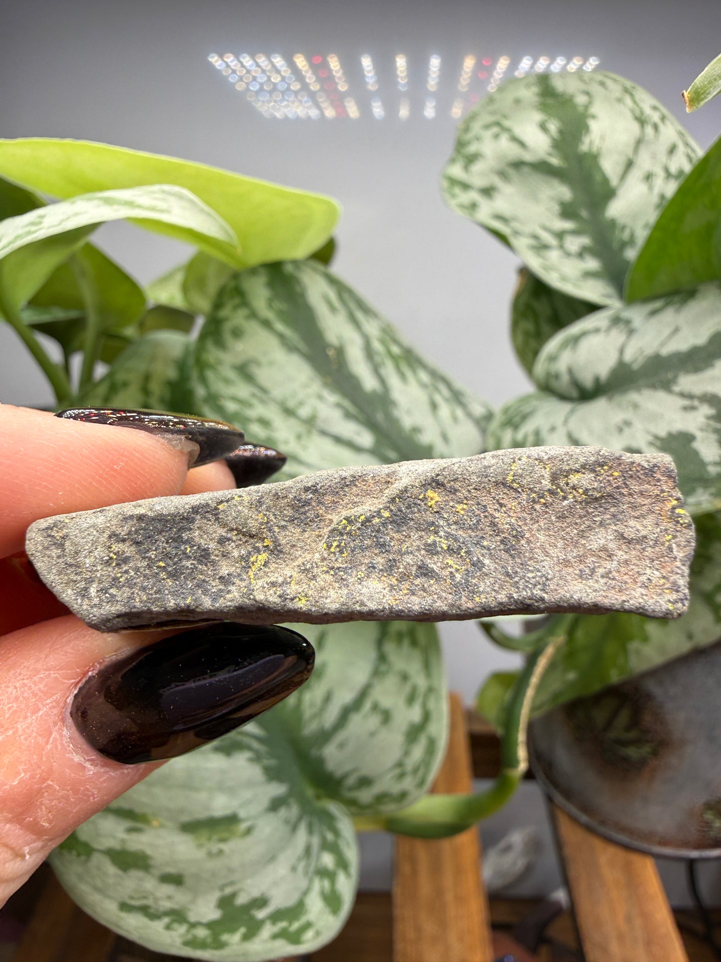 Roscoelite- Placerville Mining District, San Miguel County, Colorado, USA