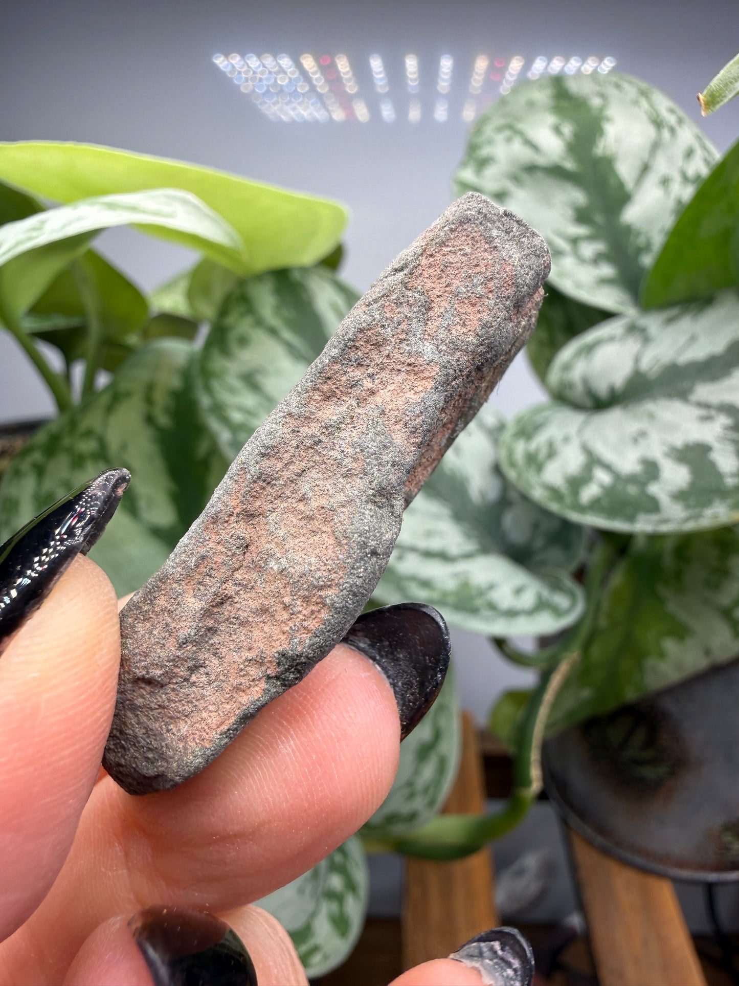 Roscoelite- Placerville Mining District, San Miguel County, Colorado, USA