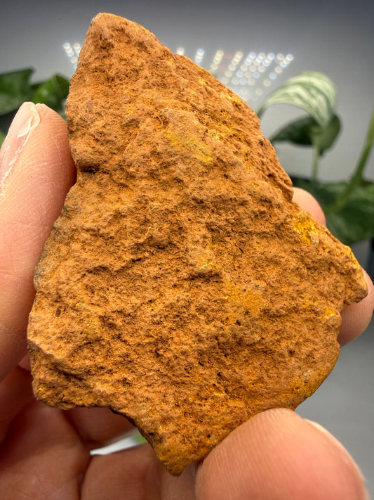 Limonite- Fort Woods, Missouri, USA
