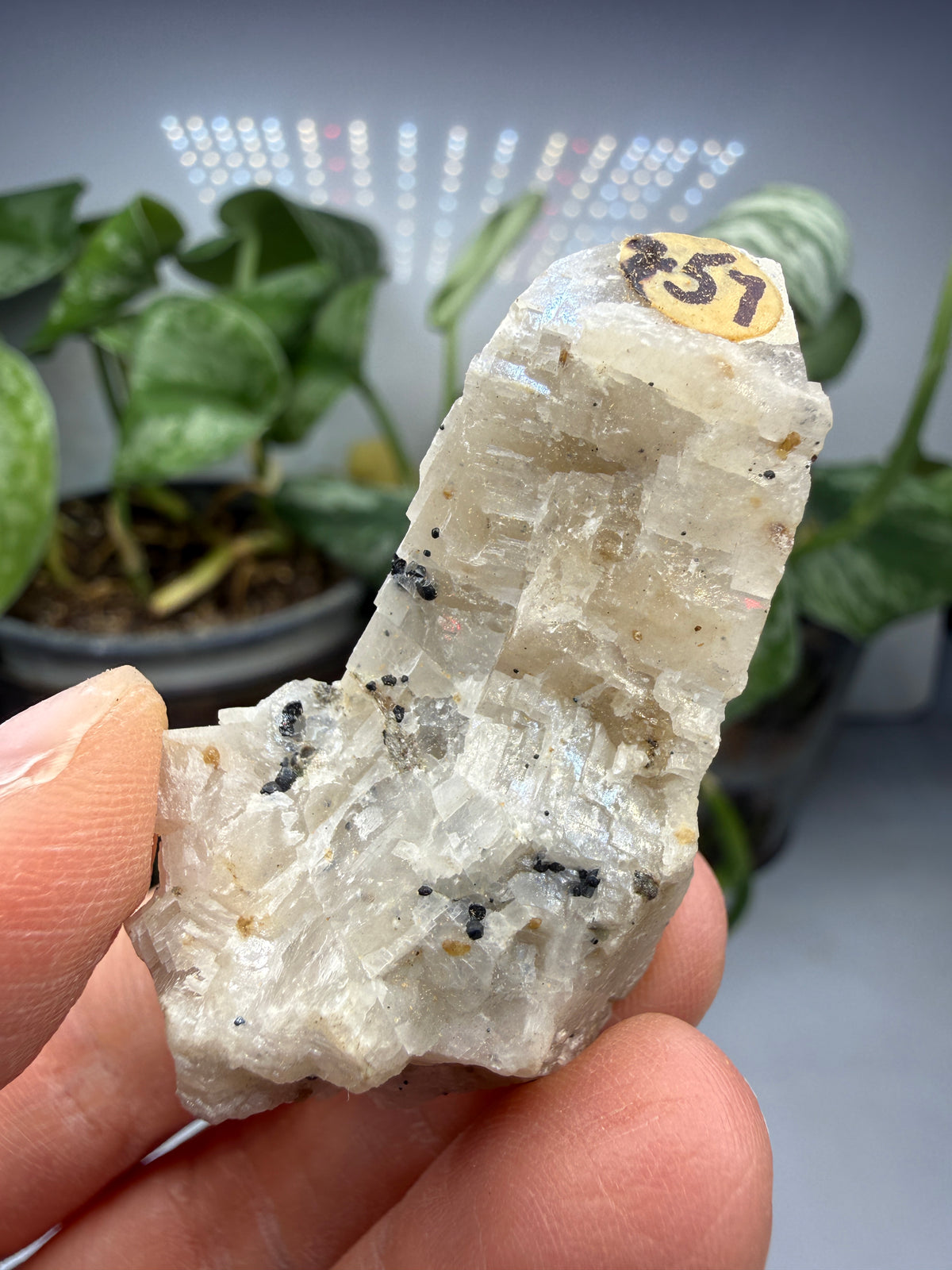 Calcite- Franklin Furnace, Sussex County, New Jersey, USA