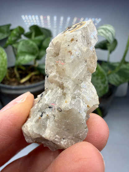 Calcite- Franklin Furnace, Sussex County, New Jersey, USA