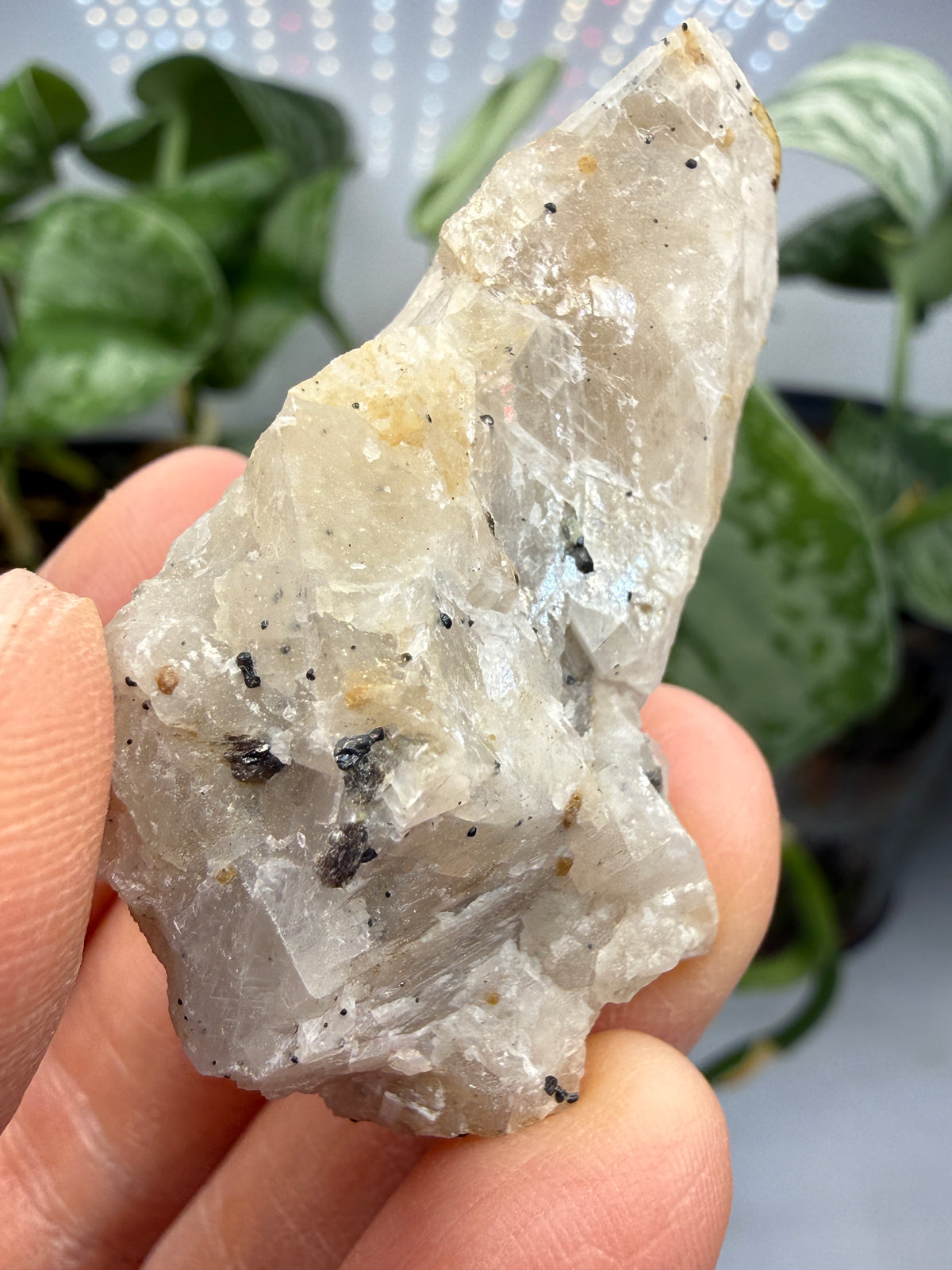 Calcite- Franklin Furnace, Sussex County, New Jersey, USA