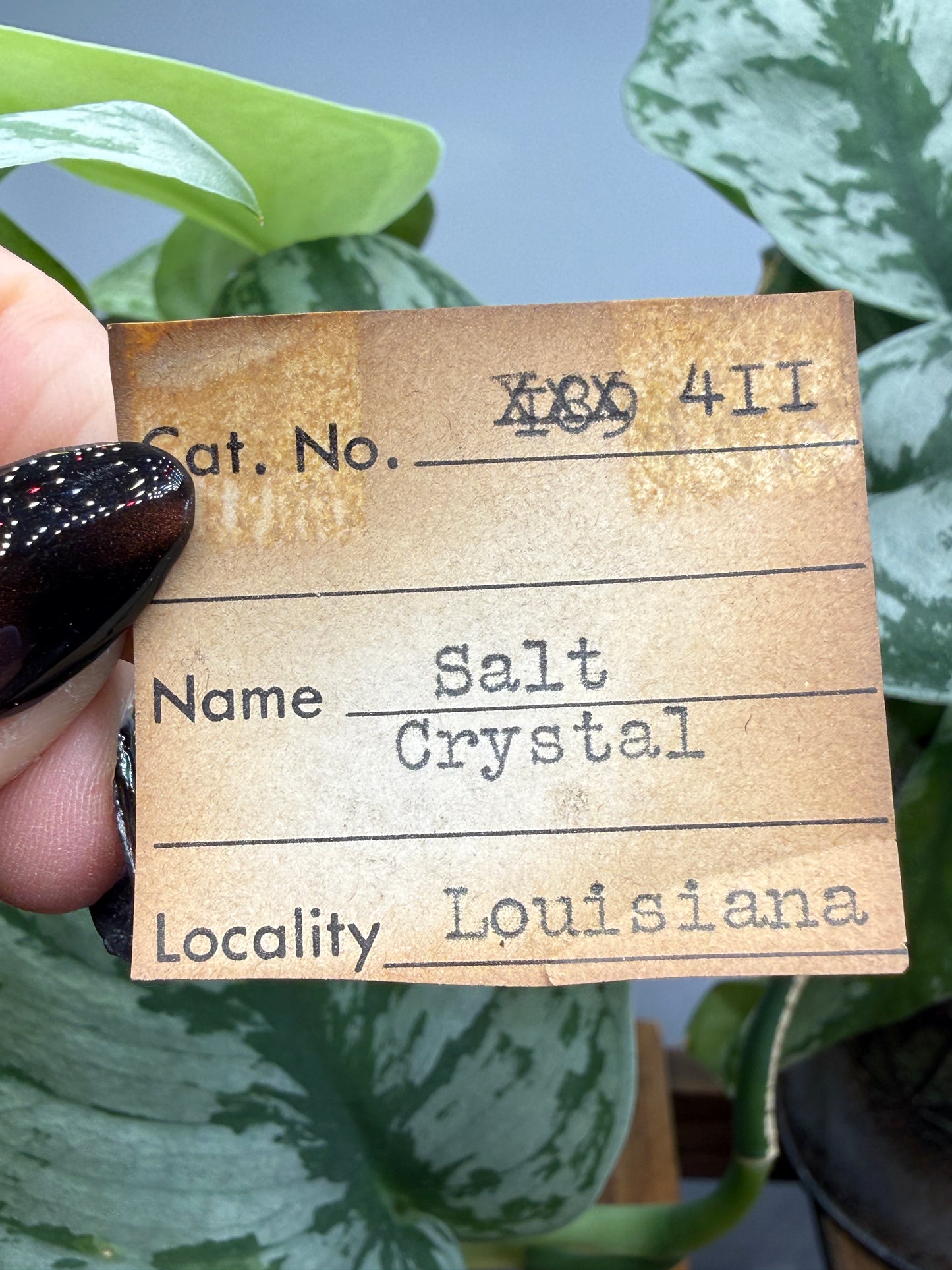 Halite- Weeks Island (Grand Cote), Iberia Parish, Louisiana, USA