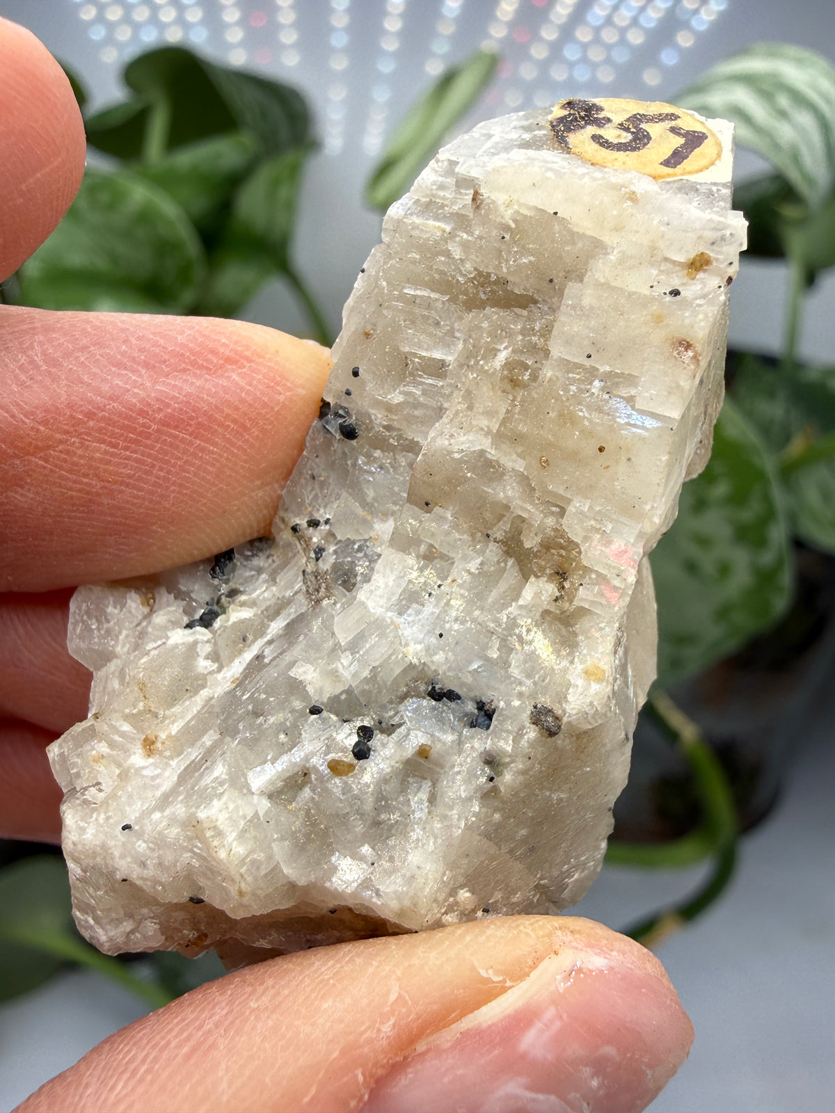 Calcite- Franklin Furnace, Sussex County, New Jersey, USA
