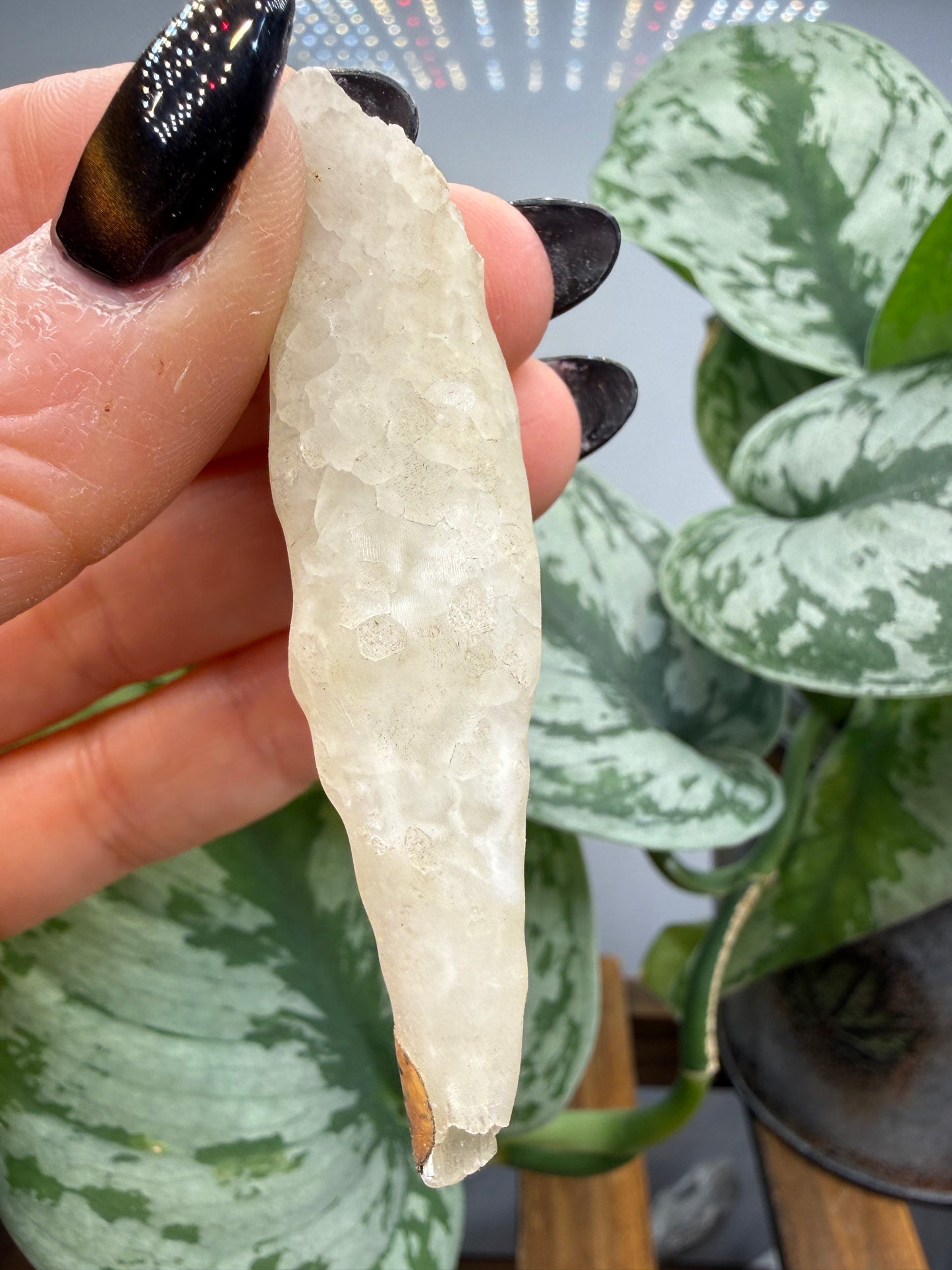 Calcite, var. Stalactite- Colossal Cave Mountain Park, Pima County, Arizona, USA