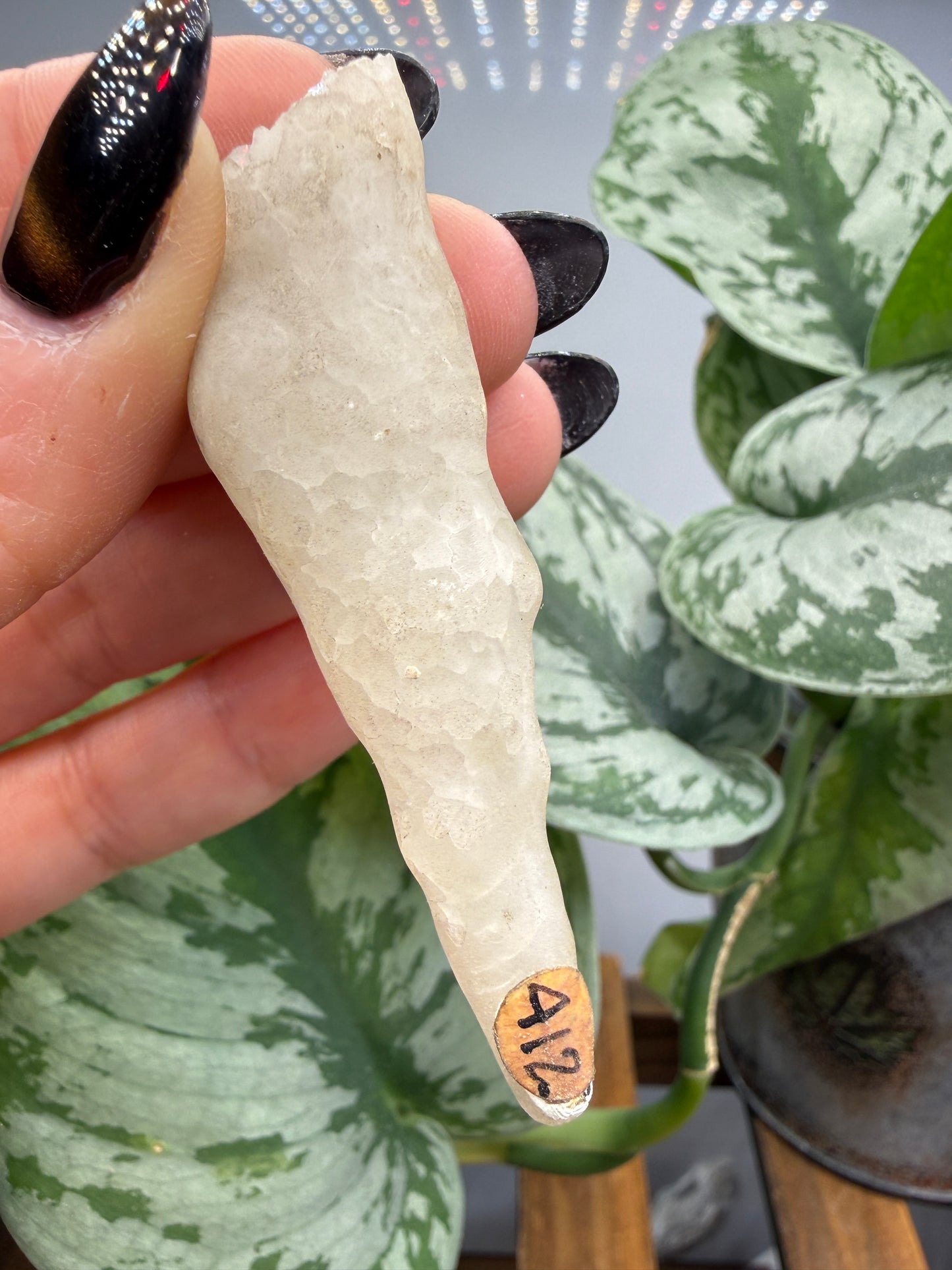 Calcite, var. Stalactite- Colossal Cave Mountain Park, Pima County, Arizona, USA