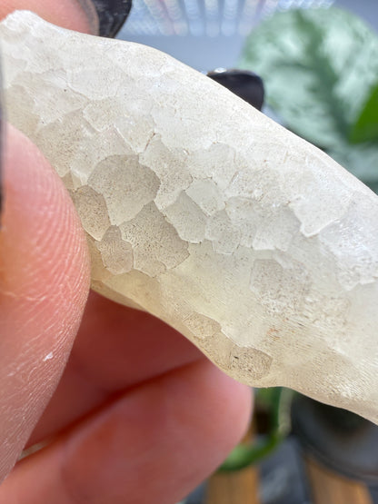 Calcite, var. Stalactite- Colossal Cave Mountain Park, Pima County, Arizona, USA