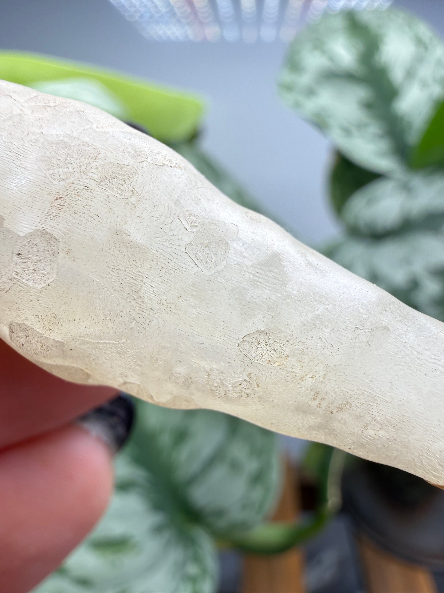 Calcite, var. Stalactite- Colossal Cave Mountain Park, Pima County, Arizona, USA