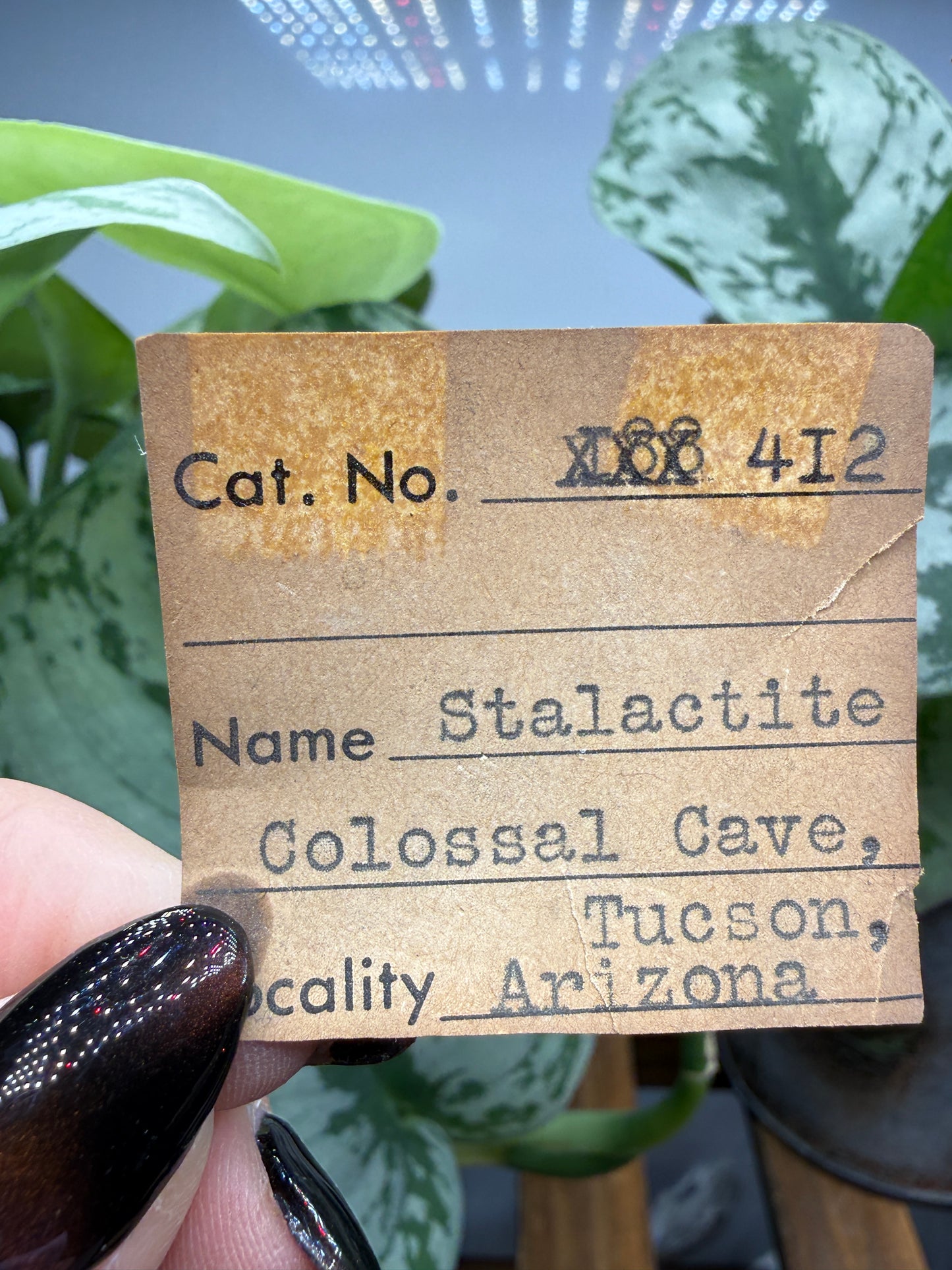 Calcite, var. Stalactite- Colossal Cave Mountain Park, Pima County, Arizona, USA