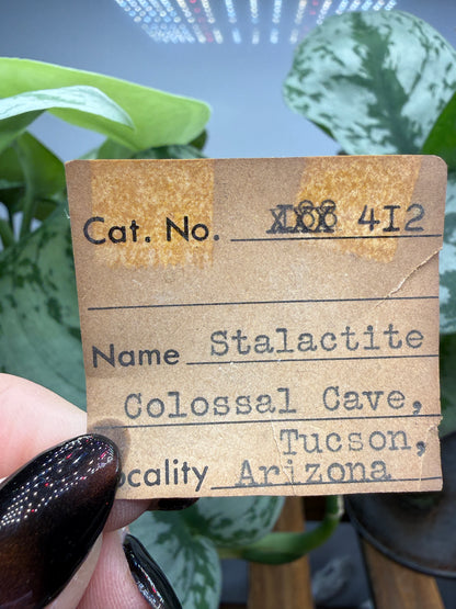 Calcite, var. Stalactite- Colossal Cave Mountain Park, Pima County, Arizona, USA