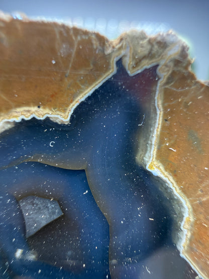 Thunder Egg Agate (Sawed and Polished)- Oregon, USA