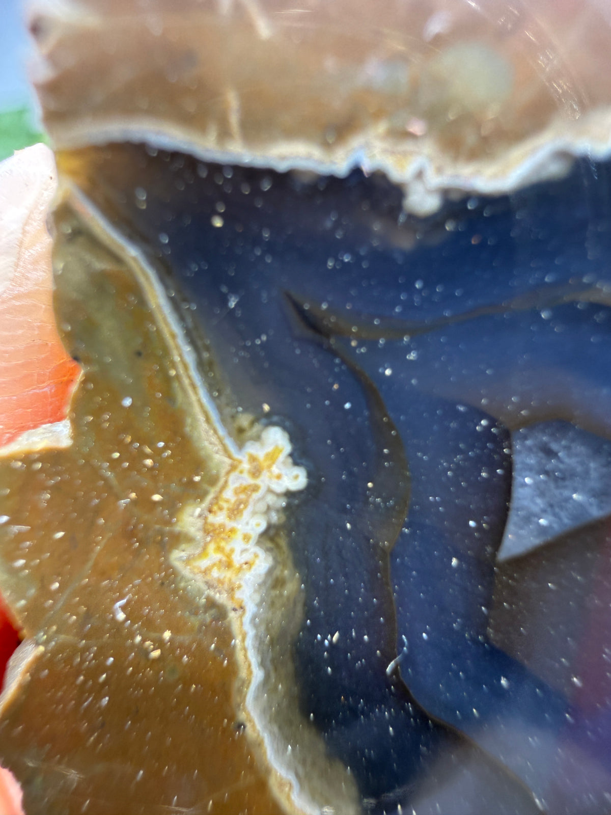 Thunder Egg Agate (Sawed and Polished)- Oregon, USA