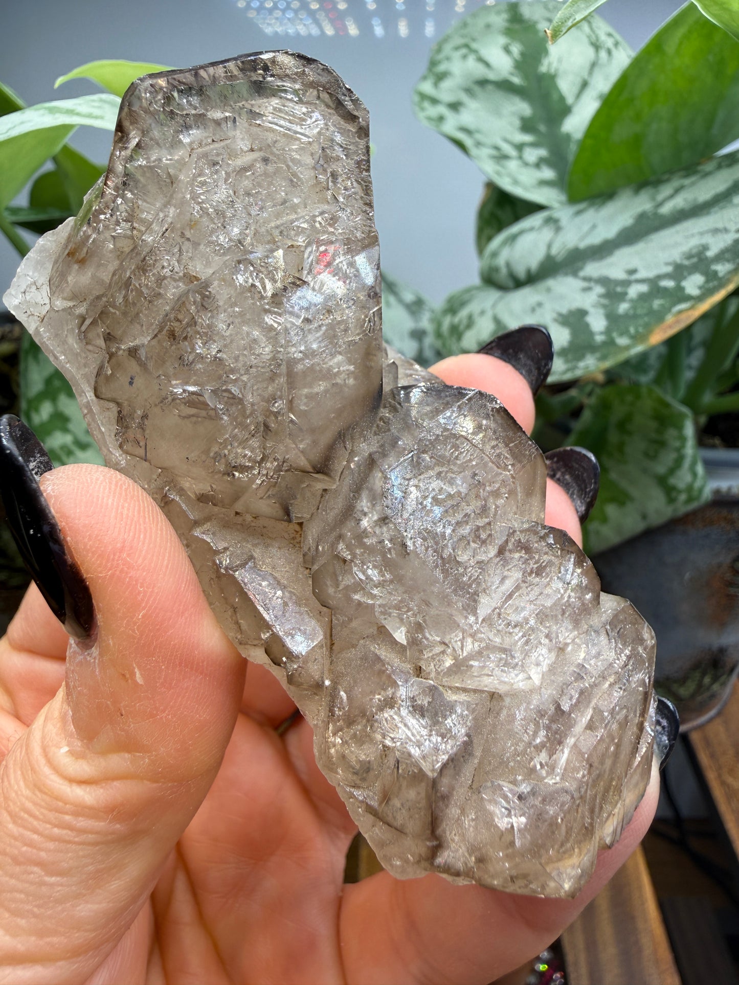 Etched Smoky Quartz, var. 'Crocodile Quartz'- Minas Gerais, Brazil