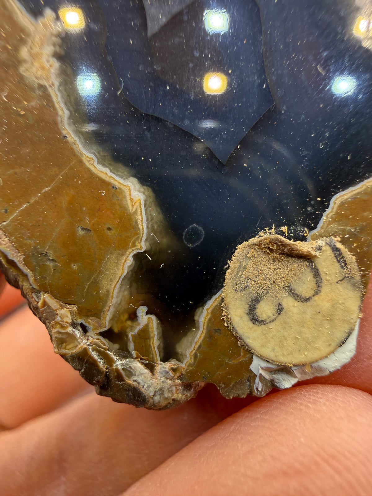 Thunder Egg Agate (Sawed and Polished)- Oregon, USA