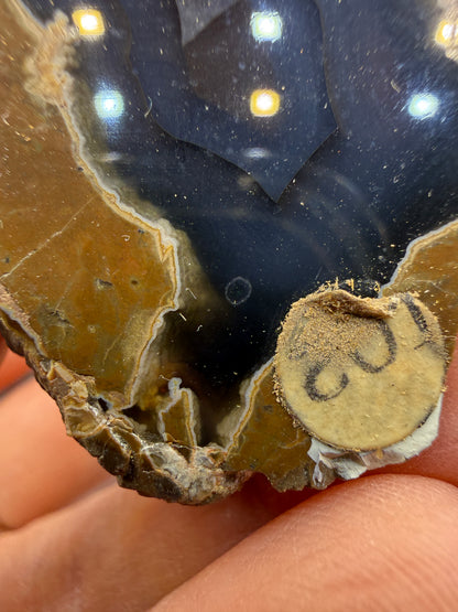 Thunder Egg Agate (Sawed and Polished)- Oregon, USA
