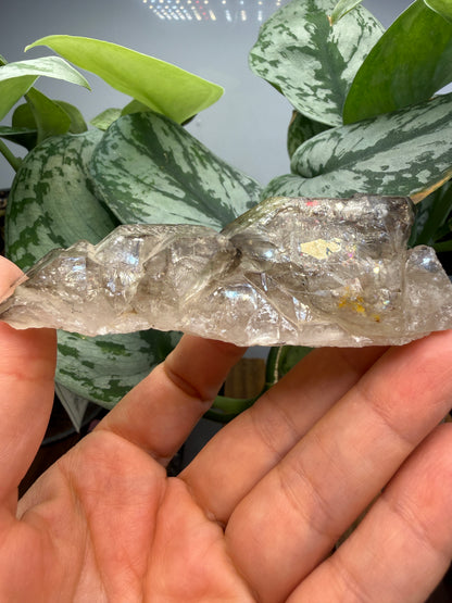 Etched Smoky Quartz, var. 'Crocodile Quartz'- Minas Gerais, Brazil
