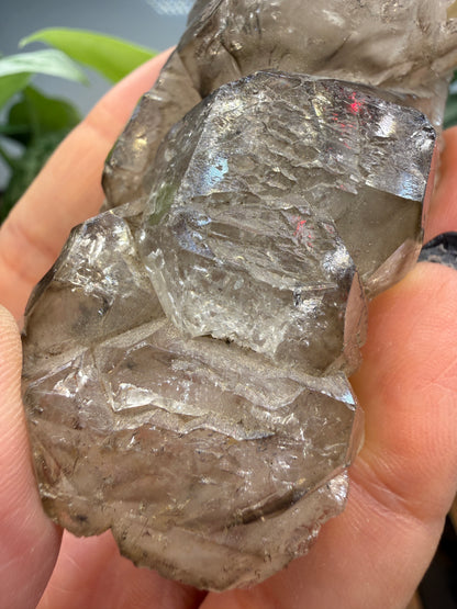 Etched Smoky Quartz, var. 'Crocodile Quartz'- Minas Gerais, Brazil
