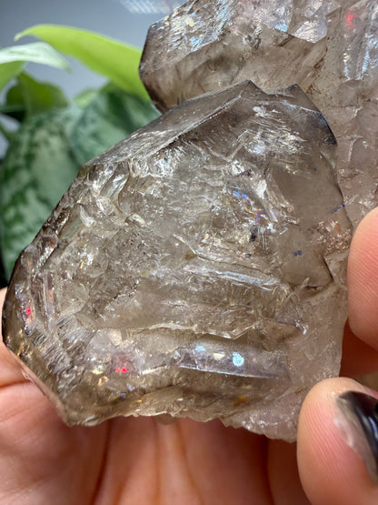 Etched Smoky Quartz, var. 'Crocodile Quartz'- Minas Gerais, Brazil
